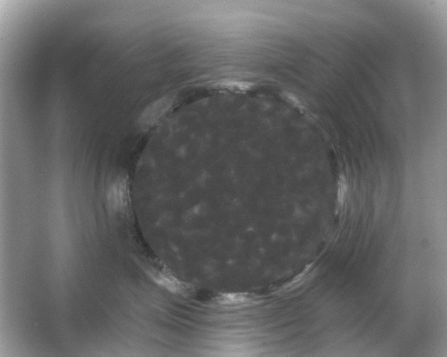 X0000066120623200603131330