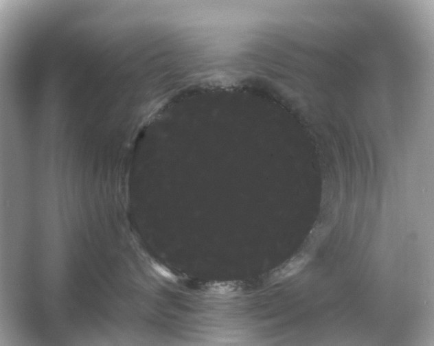 X0000066120624200603131330