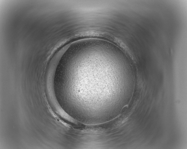 X0000066120625200603131329