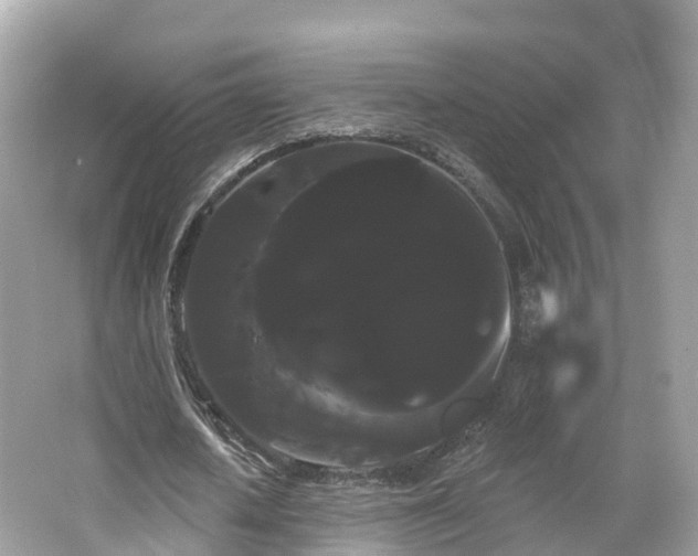 X0000066120626200603131329