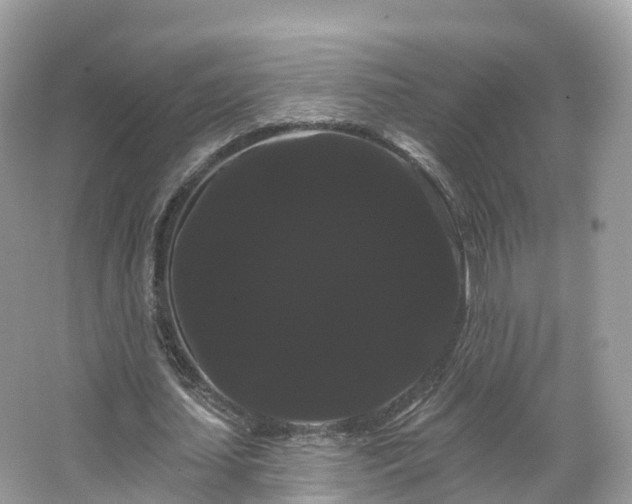 X0000066120627200603131329