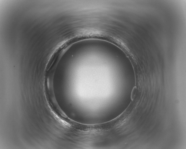 X0000066120629200603131329