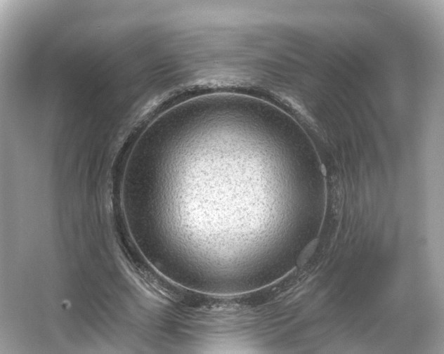 X0000066120631200603131329