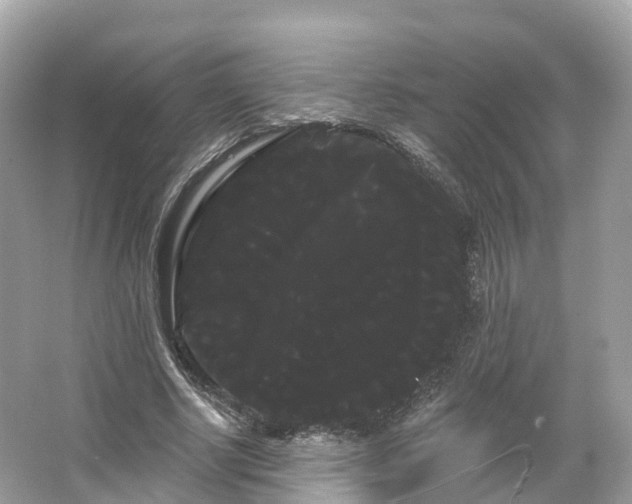 X0000066120634200603131329