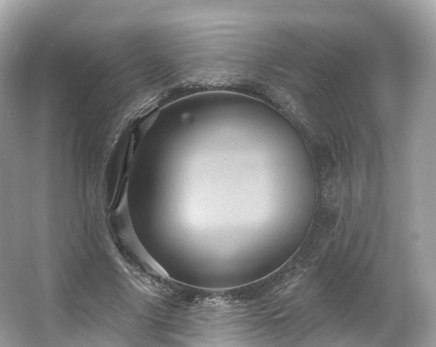 X0000066120635200603131329