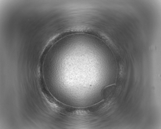 X0000066120636200603131329