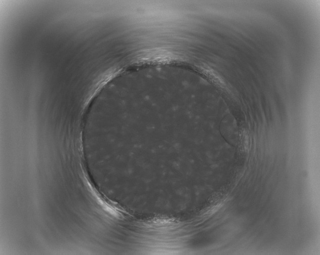 X0000066120638200603131329