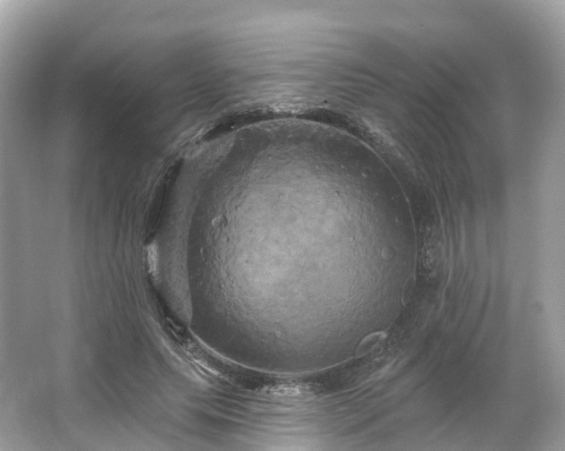 X0000066120639200603131329