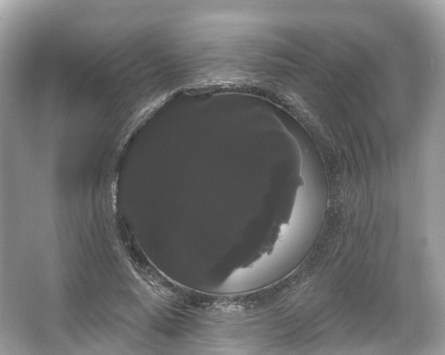 X0000066120640200603131329