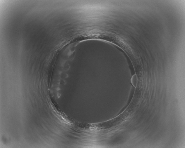 X0000066120641200603131329