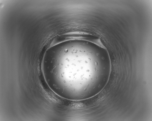 X0000066120642200603131329