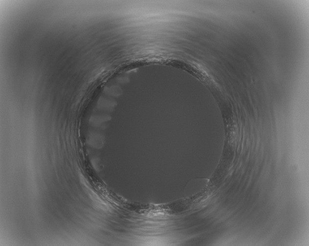 X0000066120643200603131329