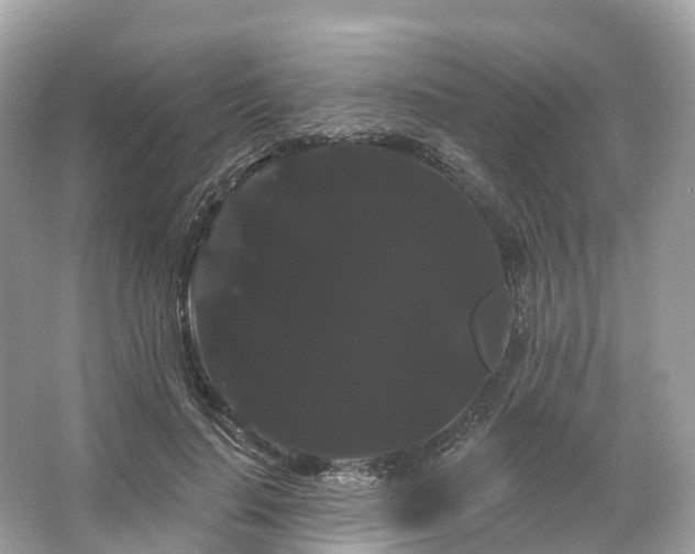 X0000066120644200603131329