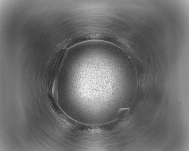 X0000066120645200603131329