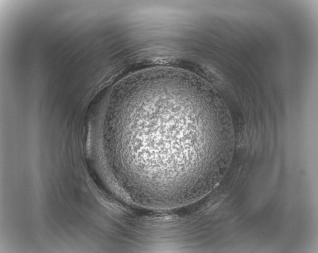 X0000066120646200603131329