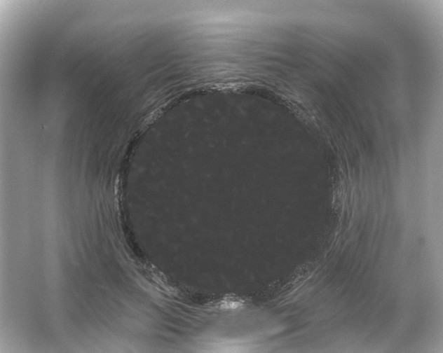 X0000066120647200603131329