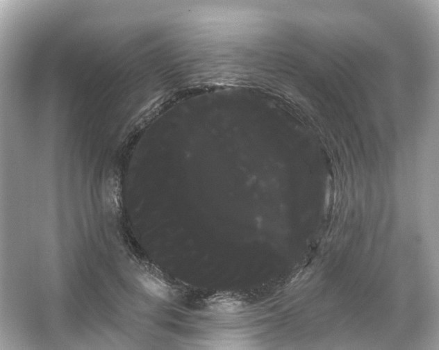 X0000066120648200603131329