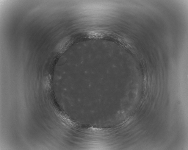 X0000066120649200603131329