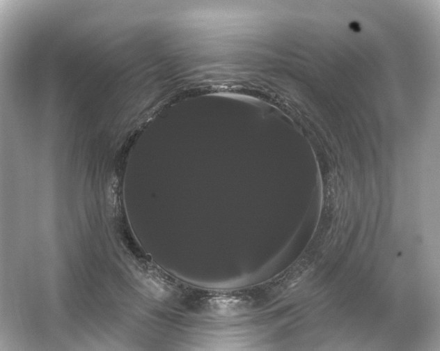 X0000066120650200603131329