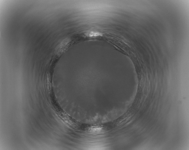 X0000066120651200603131329