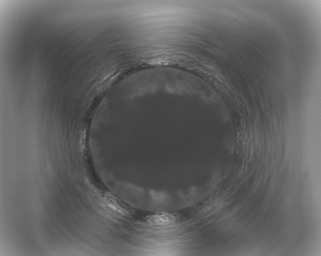 X0000066120652200603131329