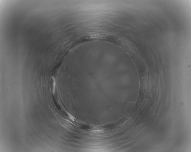 X0000066120653200603131329