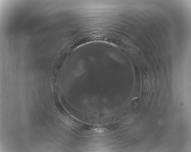 X0000066120654200603131329