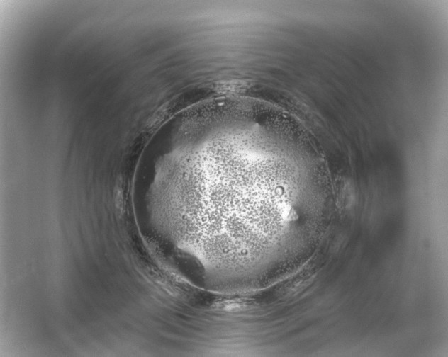 X0000066120655200603131329