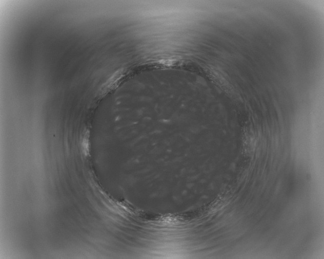 X0000066120656200603131329