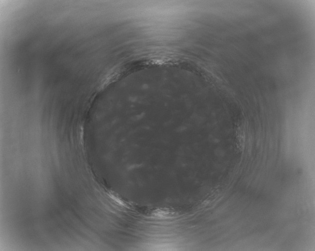 X0000066120657200603131329