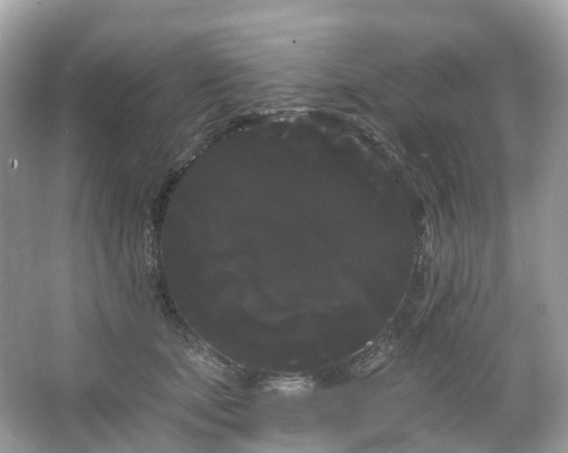 X0000066120659200603131329