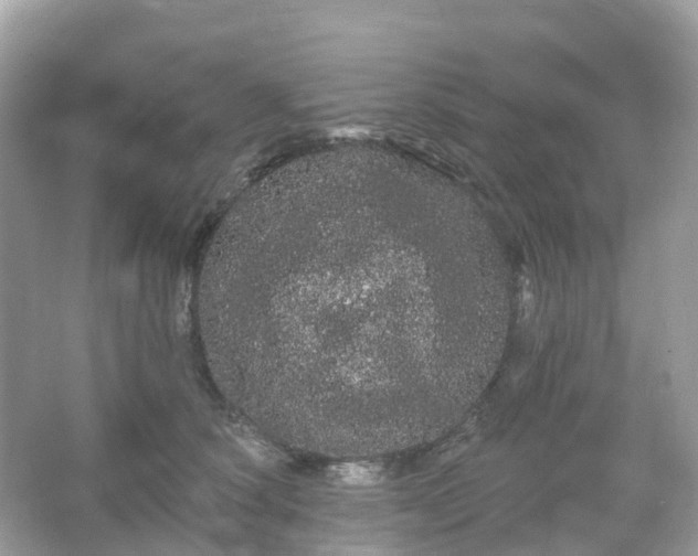 X0000066120660200603131329