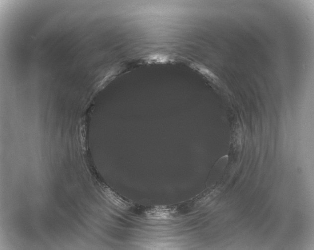 X0000066120661200603131329