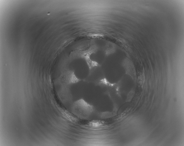 X0000066120662200603131329