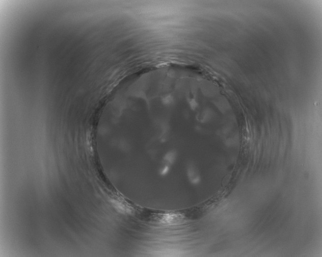 X0000066120663200603131329