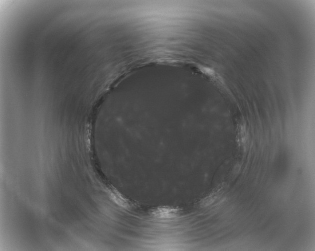 X0000066120664200603131329