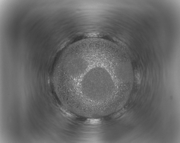 X0000066120665200603131329