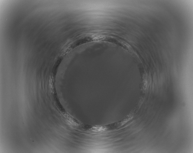 X0000066120667200603131329