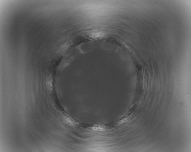 X0000066120668200603131329