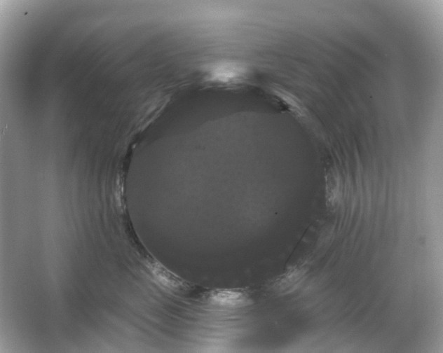 X0000066120669200603131330