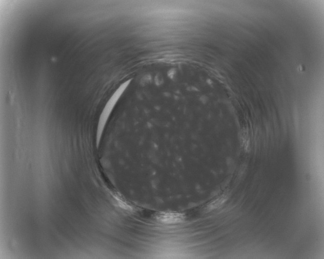 X0000066120670200603131330