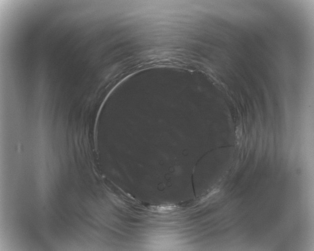 X0000066120671200603131330