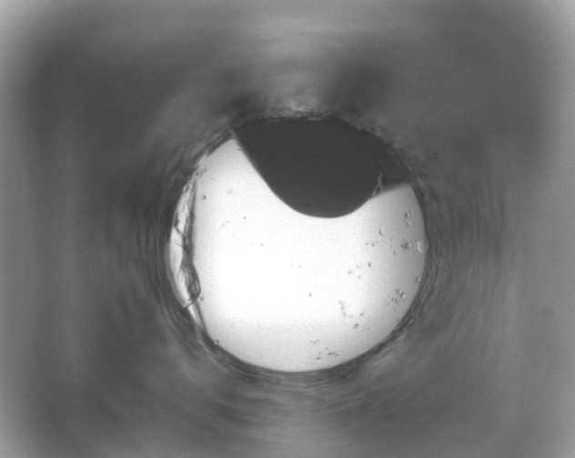 X0000066120672200603131330