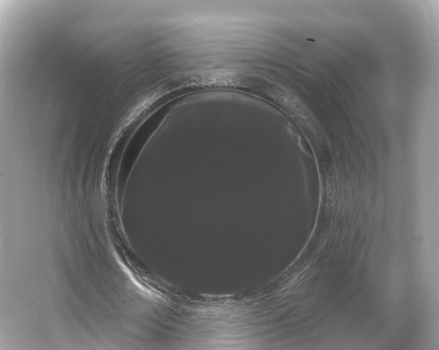 X0000066120674200603131329