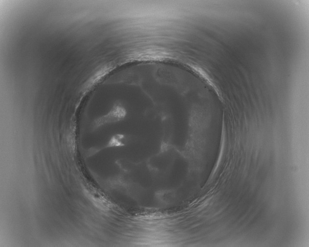 X0000066120675200603131329