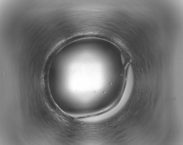 X0000066120676200603131329