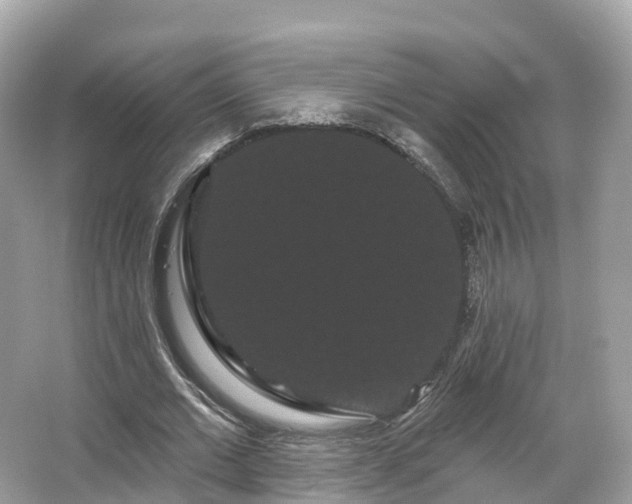 X0000066120677200603131329