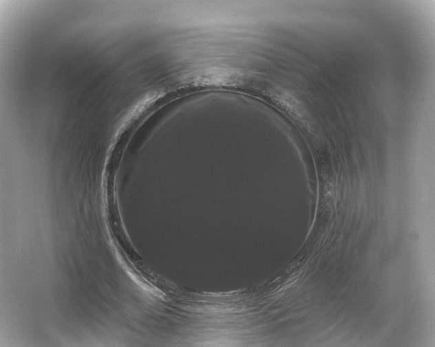 X0000066120678200603131329