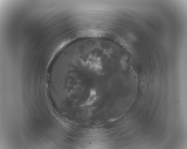 X0000066120679200603131329