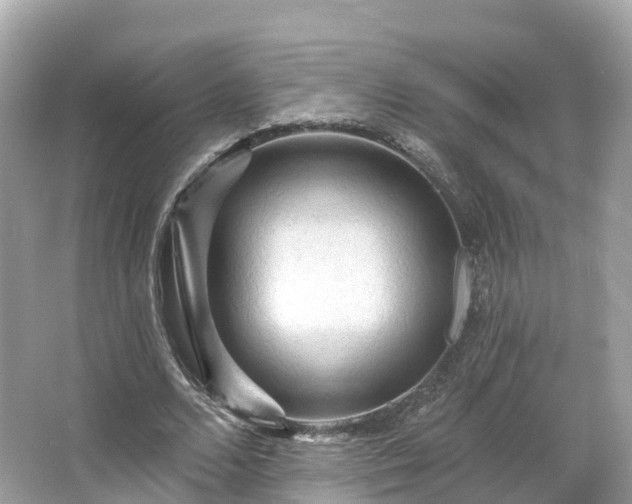 X0000066120680200603131329